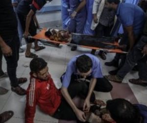 حزب حماة الوطن يستنكر قصف الاحتلال الإسرائيلي مستشفى المعمداني في غزة 