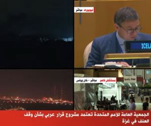 مندوب مصر بالأمم المتحدة: الجمعية العامة تساند الحق الفلسطيني وترفض التهجير القسري