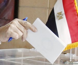 الانتخابات الرئاسية تدخل مرحلة الطعون.. و9 نوفمبر بداية الدعاية الانتخابية