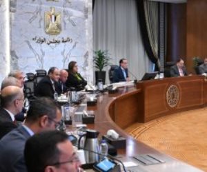 مدبولى في اجتماع الحكومة: مصر تبذل جهودًا واسعة لإنهاء معاناة أهالى غزة
