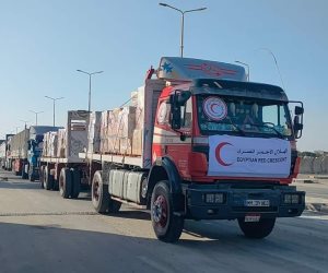 3200 شاحنة وصلت غزة عبر معبر رفح منذ بداية الحرب على القطاع تضمنت أدوية وأغذية ومفروشات