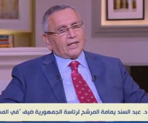 عبد السند يمامة: هناك مجالات يجب أن نترك التنافسية للقطاع الخاص ونريد شركات الحكومة للمجالات القومية