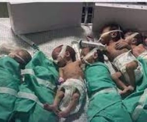  مصادر مطلعة لـ"القاهرة الإخبارية": جهود مصرية مكثفة لنقل الأطفال حديثى الولادة من غزة إلى مصر 