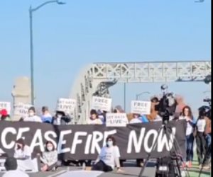 متظاهرون أمريكيون يغلقون جسرا فى بوسطن ويطالبون بوقف إطلاق النار بغزة.. فيديو