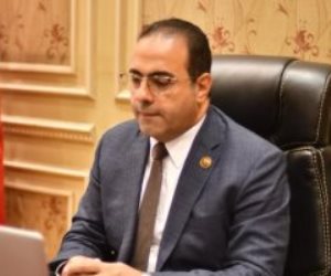 شباب المصريين بالخارج: الاتحاد فى حالة انعقاد مستمرة لحين انتهاء انتخابات الرئاسة