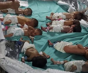 مصر تستقبل 31 طفلا فلسطينيا من الخدج عبر معبر رفح لتلقي العلاج