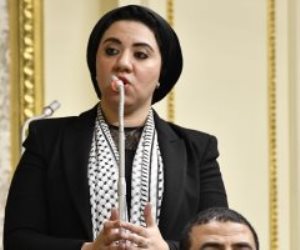 نائبة التنسيقية أميرة صابر: موقف مصر إزاء القضية الفلسطينية "تاريخى"