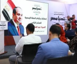 حملة السيسي تنشر رابط الانضمام لها للمصريين بالخارج