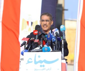 ضياء رشوان: المواطنون المصريون هم أصحاب الحق الوحيد في العملية الانتخابية