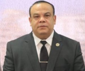 المصريون فى نيوزيلندا يصوتون بانتخابات الرئاسة 10 مساء اليوم بتوقيت القاهرة