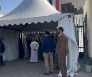 بدء تصويت المصريين بالسعودية والبحرين وقطر باليوم الثالث لانتخابات الرئاسة