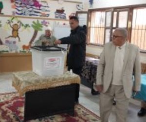 انتخابات الرئاسة المصرية 2024.. 82 لجنة فرعية تستقبل الناخبين بالوادي الجديد