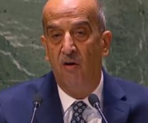 مندوب مصر بمجلس الأمن: أفعال إسرائيل فى غزة تدخل المنطقة فى حرب إقليمية