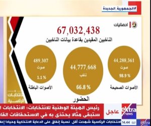 «الهيئة الوطنية»: عدد المصوتين في الداخل والخارج 44 مليونا و776 ألفا و68 ناخبا