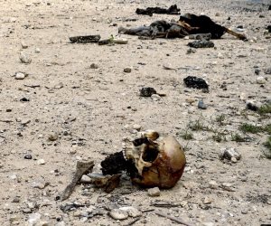 جريمة إسرائيلية ضد الإنسانية.. جثث شهداء فلسطينيين شمال غزة تتحلل بالكامل