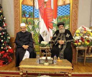 الإمام الأكبر والبابا تواضروس يتفقان على إنشاء لجنة مشتركة لتوحيد صوت الأزهر والكنائس المصرية في الدَّعوة لوقف العدوان الصهيوني على غزة