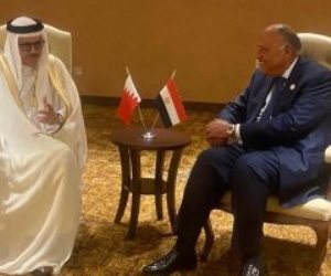 وزير الخارجية يبحث مع نظيره البحريني دفع جهود التهدئة في المنطقة العربية