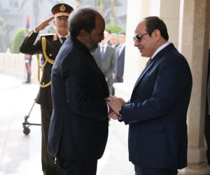 حزب المصريين: استقبال مصر للرئيس الصومالي رسالة تحذير لمحاولات المساس بأرض الصومال