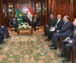 وزيرا خارجية مصر وموريتانيا يجريان مباحثات موسعة حول القضايا العربية