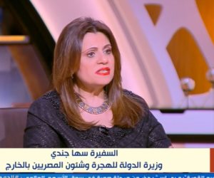 وزير الهجرة: الوزارة مستمرة في تقديم مزيد من الخدمات والمُحفزات للمصريين بالخارج (فيديو)