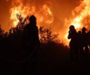 ارتفاع ضحايا حريق الغابات فى تشيلى إلى 51 شخصا.. تعرف على أهم الأحداث العالمية هذا المساء