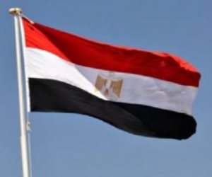 مصر تفضح ممارسات الاحتلال الإجرامية في الأراضي المحتلة.. سجل إسرائيلي مليء بالدم والدمار