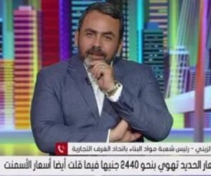 رئيس شعبة مواد البناء يعلن عن أسباب انخفاض أسعار الحديد