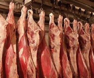نقيب الجزارين: نتوقع انخفاض سعر اللحوم الفترة المقبلة