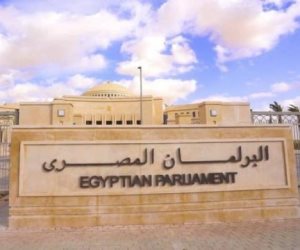 «طاقة النواب»: المصريون يدركون جهود الدولة للحفاظ على أمن الوطن