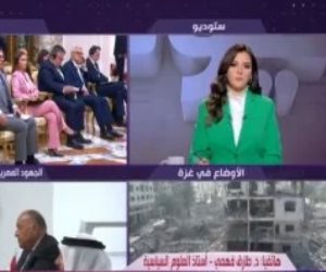 طارق فهمى: التزام مصر القومى تجاه القضية الفلسطينية بإدخال المساعدات