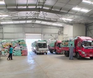 البنك الزراعي يواصل جهوده في استلام محصول القمح من الموردين والمزارعين في ١٩٠ موقع تخزين منتشرة في كافة أنحاء الجمهورية (فيديو)