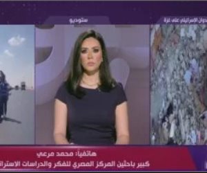 باحث: مصر تمتلك أدوات سياسية ودبلوماسية تستطيع به حماية سيادتها وأرضها