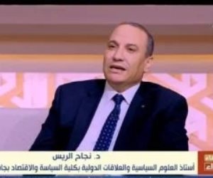 أستاذ علوم سياسية: مصر تدعم القضية الفلسطينية وتسعى للتوافق بين الطرفين