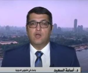 أسامة السعيد: القمة العربية قد تشهد دعوة لمؤتمر دولى لدعم القضية الفلسطينية