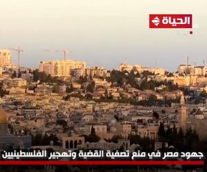 «الحياة اليوم» يعرض تقريرا عن جهود مصر في منع تصفية القضية الفلسطينية (فيديو)