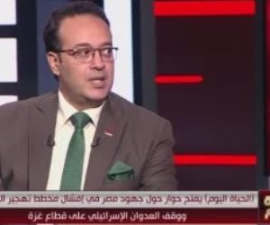 أستاذ علاقات دولية: دعم مصر لجنوب أفريقيا بمحكمة العدل زاد القضية قوة وثباتا