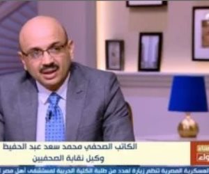  محمد سعد عبد الحفيظ: إسرائيل تعانى من عدة شروخ على جميع المستويات