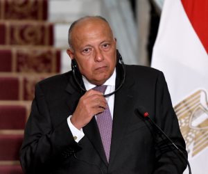 شكري: مصر وقبرص حريصتان على تعزيز العلاقات الثنائية بكافة المجالات