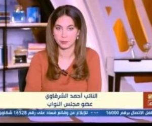 النائب أحمد الشرقاوي: يجب عمل حوار مجتمعي لقانون إدارة المنشآت الصحية
