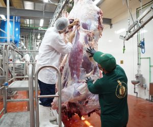 الزراعة: ضخ كميات إضافية من اللحوم بمنافذ الوزارة لمنع زيادات الأسعار