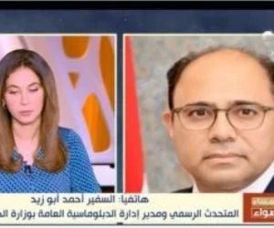 المتحدث باسم الخارجية المصرية: المبادرة الأمريكية لوقف إطلاق النار فرصة هامة يجب إلتقاطها