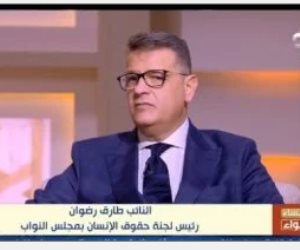 النائب طارق رضوان: الدولة المصرية حققت إنجازات كبيرة بملف حقوق الإنسان
