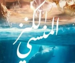 حصل علي الدرجة الأعلي في التقييم .. "الكنز المنسى" فيلم تسجيلى سياحى يناقش جمال محمية وادى الجمال بمرسى علم