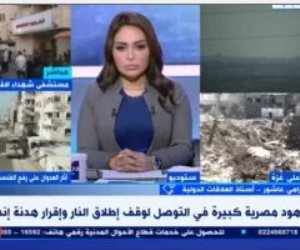 أستاذ علاقات دولية: الاعتراف بفلسطين كدولة يتعارض مع الحلم الإسرائيلي