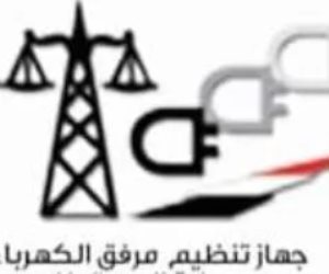 اتحاد تنظيم الكيانات الشبابية بكفر الشيخ ينضم للحملة الوطنية لترشيد الطاقة