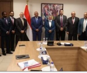 وزير الكهرباء يبحث مع شركة AMEA POWER الإماراتية زيادة استثماراتها بمصر