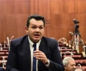 النائب أحمد مقلد: ناقشنا مع الوزراء برنامج الحكومة الجديدة بشكل دقيق