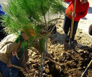 ضمن مبادرة "بداية جديدة"..مدارس إدارة دشنا بمحافظة قنا تتزين بالأشجار