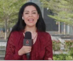 أمل الحناوى: غارات جيش الاحتلال على جنوب لبنان استهدفت طير دبا وعيتا الجبل