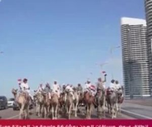 قناة "الحياة" تنقل انطلاق عروض وسباقات الهجن في مهرجان العلمين الجديدة.. فيديو